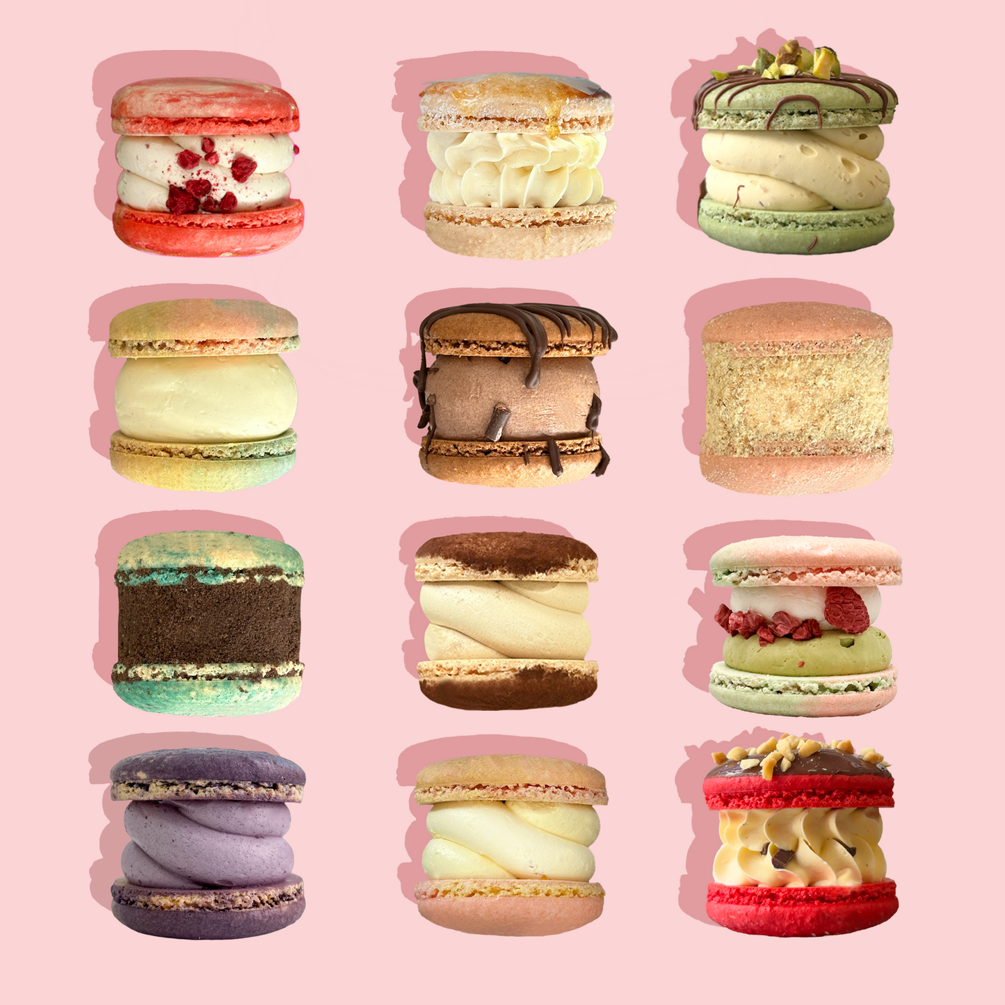 [Dozen] One Each Flavours